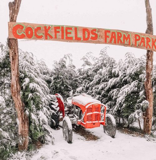 Cockfields Farm Park