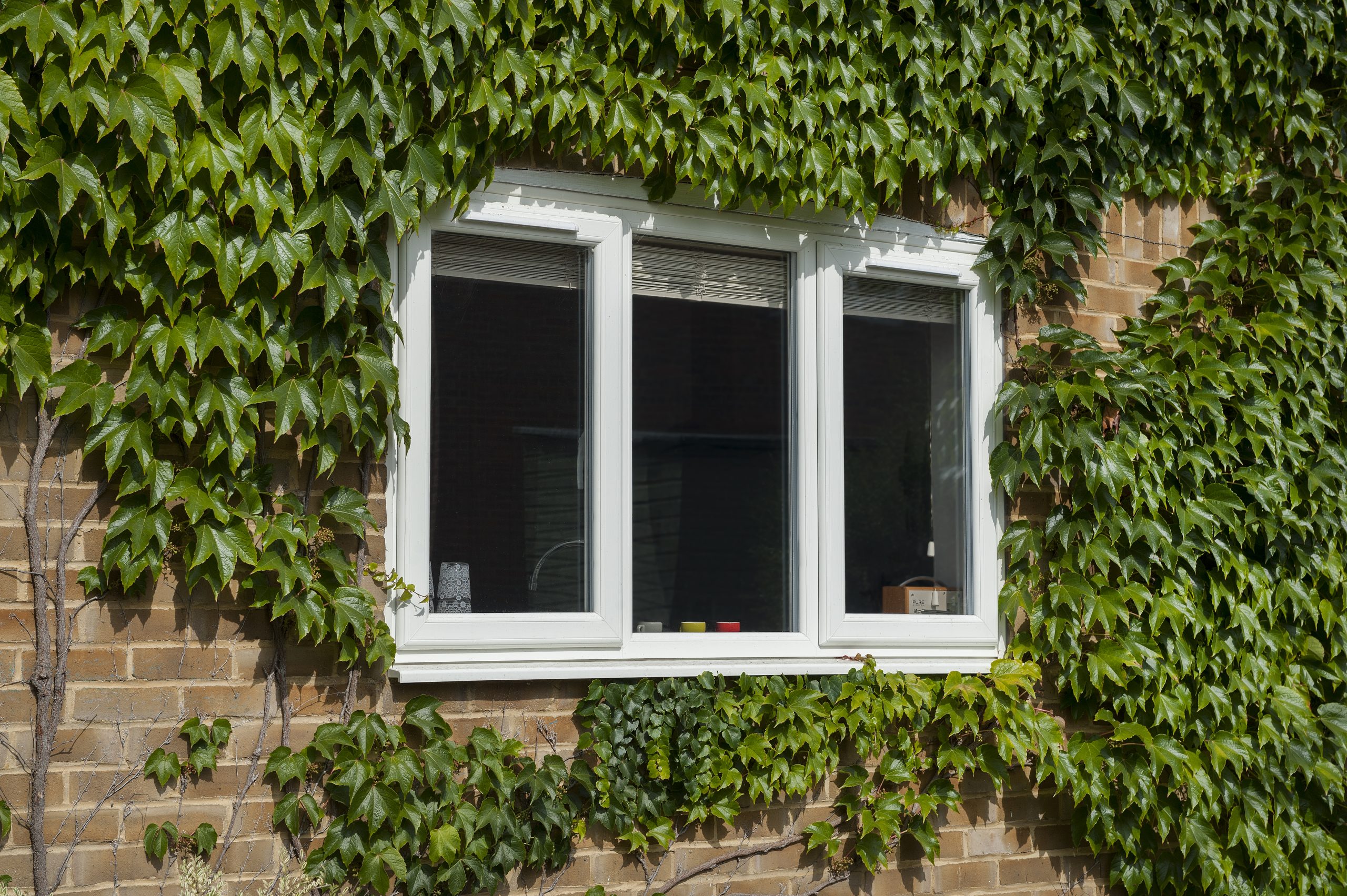 upvc windows manchester cost
